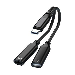 LUYING �f���A��USB-C�w�b�h�t�H��&�[�d�A�_�v�^ DAC���� �n�C���]���� PD60W�����[�d�E�����M�ň��S ���ʒ���/�ʘb/���y�Ή� iPad Pro/Android/Type C�Ȃǋ@��ɓK�p �u���b�N