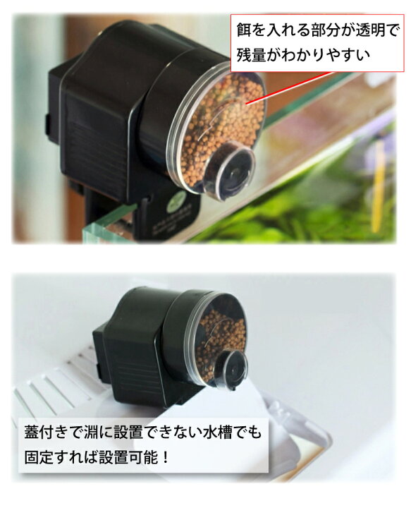魚 自動 給餌器 餌やり機 エサ 餌やり 魚自動給餌器 給餌 エサやり 餌