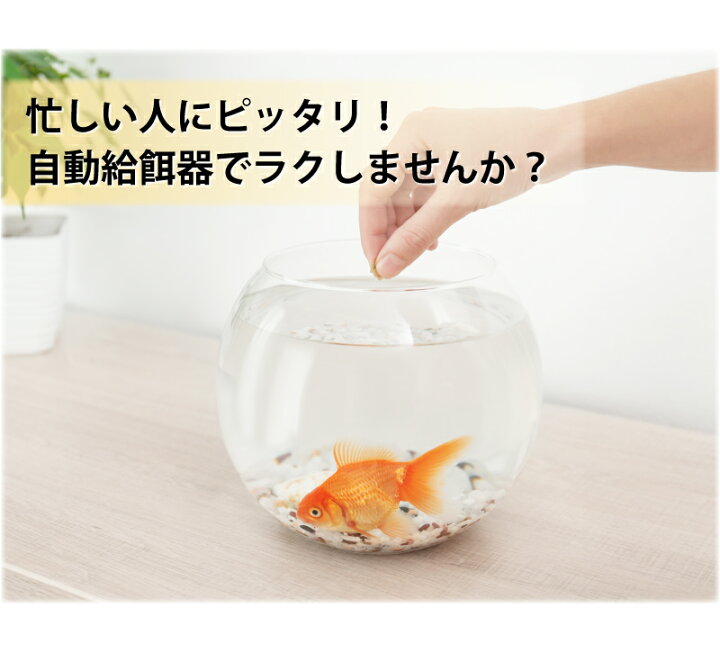 自動給餌機 小型魚 金魚 自動 魚 昆虫 自動給餌器 12時間 24時間切替 長期のお出掛け時に大事なお魚に自動給餌 水槽 魚餌やり機 フィッシュフィーダー 観賞魚