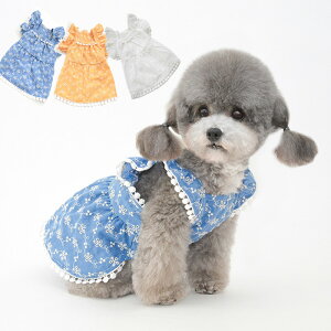 夏用ペット服｜小型犬用のかわいい夏服！メッシュなど人気の犬服のおすすめを教えて！