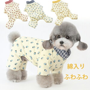 AEgbg ݌ɏ  R[g WPbg Jo[I[ hbOEFA H~ ~   hbOEFA h g Ȃ   ^ ^ ~p ̕ h ӂӂ 