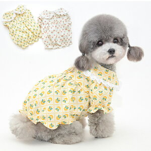  s[X tXJ[g  t  tp ėp XJ[g X[u  іh~ ybg hbOEFA t ĕ ̕ ԕ  IVU 킢 21BT329