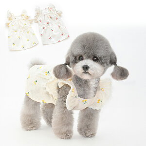  s[X tXJ[g  t  tp ėp XJ[g m[X[u Ȃ іh~ ybg hbOEFA t ĕ ̕ ȑf ڕ n  IVU 