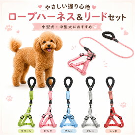 在庫処分 アウトレット 犬 リード ハーネスリードセット 小型犬 中型犬 大型犬 8の字ハーネス ソフトハーネス リード 丸ひもリード 犬紐 胴輪 お散歩 ワンタッチ式 リード&ハーネス セット ハーネスリード 犬散歩ひも 丈夫 ナイロン TOTO01