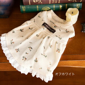  s[X hXt  H t ĕ H ԕ t[bts[X TVc Jbg\[   tVc v`v t  ^ ^ lR L hbOEFA j̎q