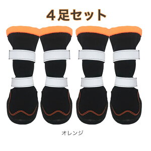 AEgbg ݌ɏ  C C ̌C u[c Ou[c hbOV[Y veNV V[Y \tg ی h hC X|[c    VjA PA ^ ^ [