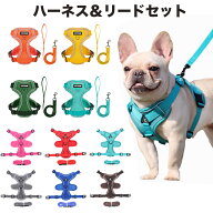アウトレット 在庫処分 犬 ハーネスリードセット 超小型犬 中型犬 胴輪 犬ハーネスリード 抜けない ハー…