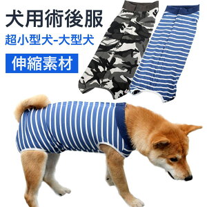  앞 p㕞 D㕞 Dp㕞 p㕞 pEFA  B ی앞 ъ IX X j̎q̎q 畆a ё΍ GUxXJ[ JbR hbOE