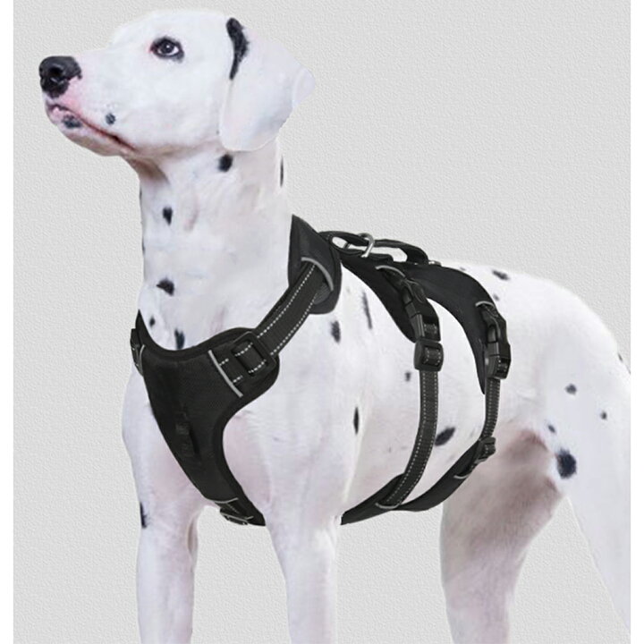 楽天市場】在庫処分 犬 ハーネス 中型犬 大型犬 胴輪 犬ハーネス 