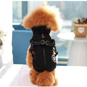 ���� �~ �g���� �x�X�g �w�J�� �n�[�l�X �W���P�b�g ���̕� �h�� ���� �� �n�[�l�X �~ ���^�� ���^�� ���̕� �h���� �h�b�O�E�F�A �W���P�b�g ���� �n�[�l�X��̌^�W�����p�[ �~ �R�[�g �h�b