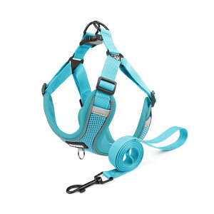 AEgbg ݌ɏ  L n[lX ^ ^ Lp lR EFAn[lX n[lX [hZbg n[lX Ȃ ̌^ 킢 ȒPE ߉\ h~ P݌y