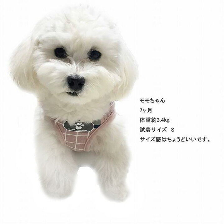 楽天市場 アウトレット 在庫処分 犬 猫 ハーネス 小型犬 中型犬 猫用 ネコ ウェアハーネス ハーネス リードセット 犬ハーネス 抜けない 一体型 かわいい 簡単着脱 調節可能 引っ張り防止 咳き込み軽減 散歩 出かけ用 チェック柄 Mo05 ｆｉｒｓｔ ｐｕｒｅ