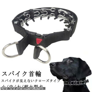 ^  XpCN h~   h~ XpCN N[Y^Cv p ih~ P Ȃ i g[jO ^  ^ ^ `