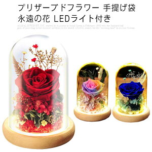 vU[uht[ ͂Ȃ KXh[ KN hCt[ o t[Mtg Mtg{bNX 񂰑 ỉ LEDCgt