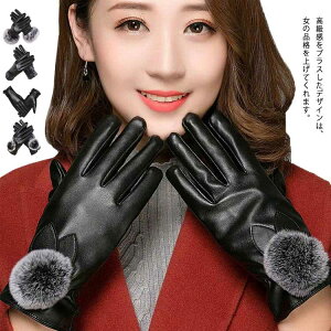  fB[X U[O[u  N h tFCNU[ h  g ~ ۉ 킢  ^] oCN ] TCNO[u  Mtg ʋΒʊw 