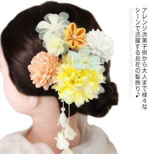   4_Zbg l  Ǝ a U  ߂ ܂ݍ׍H ԏ  ||} e _A   ܎O  wbhhX a wAANZT[