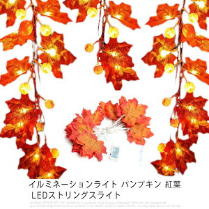 C~l[VCg pvL gt LEDXgOXCg nECXgOXC dr EOp 10/20/40