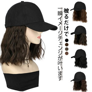 EBbOtLbv ΍ fB[X EBbO Lbv EBbO EF[u tXq V Ă~  Xq̌^ O tXq {u  ×p tXq  