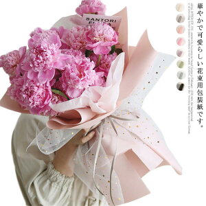 bsOy[p[ ԑ  XpR[    bV `[f t[ p _炩   LO a o^Cf[ ԉ MtgVbvp DIY 