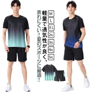 X|[cEFA jOEFA TVc ڐG⊴ ㉺Zbg j W[W n[tpc  2_Zbg   oh~gEFA ̌^Jo[ Y tBbglXEFA JW