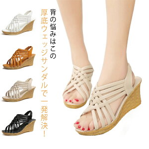 EFbW\[ fB[X  q[ ₷ T_ OfBG[^[T_ C ANXgbv nCq[ ₷ r s  ɂȂ 傫TCY t