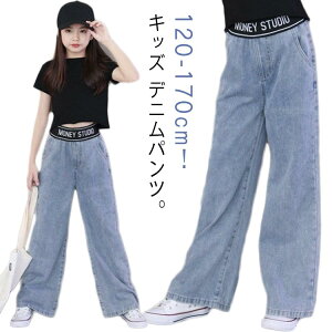 q fjpc ̎q Y{ t W[Y LbY Chpc K[Y W[p Opc Y{ q EGXgS ʉ ʊw i  t H ct w ؍ 