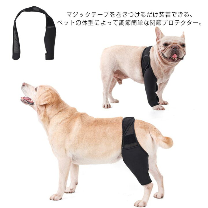 楽天市場 関節プロテクター 犬用 5サイズ 膝サポーター ショット 犬用介護用品 ペット用品 歩行補助 ケア用品 後ろ足 前足 犬骨折治療 老犬介護 介護用品 シニア 肘当て 床ずれ 腕 肘 老犬 老齢犬 高齢犬 小型犬 中型犬 大型犬 Firststep
