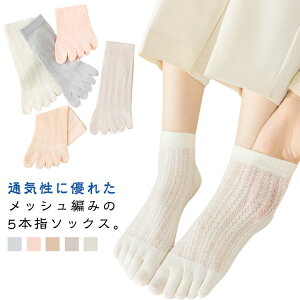 6Zbg ܖ{w\bNX bV \bNX fB[X 5{wC 5{w\bNX  Rbg ėp X|[c Xj[J[\bNX Ȃ  n  L 炳K 킢 