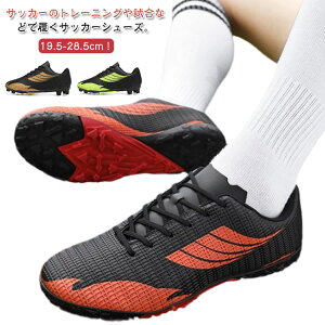 TbJ[V[Y l Y fB[X LbY WjA g[jOV[Y Xj[J[ V[Y TbJ[ 싅 C XpCNV[Y lH X|[c y ^C y ~ j