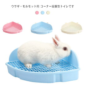 楽天市場 大きいサイズ 種類 小動物 リス その他 小動物用品 ペット ペットグッズの通販 楽天市場 大きいサイズ 種類 小動物 リス その他 小動物用品 ペット ペットグッズの通販