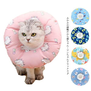 GUxXJ[ L pEFA ybgpi \tg ybg  GUxX Jt ӂӂ ObY y _炩 p pi ˂pi h 킢 r r h~ 