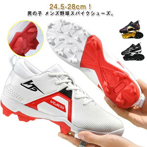 Y 싅 XpCN l WjA j̎q XpCNV[Y zCg ubN   싅 x[X{[ ^C X|[cV[Y ANeBreB JWA w싅XpCN Z싅