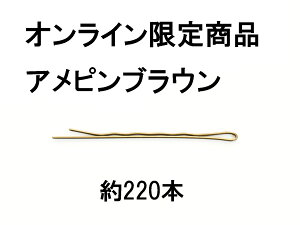 y|Cg20{z AJsuE200gʔ ICXgA et e wAT T e wAs Ns wA[s s wA Ɩp v PIN HAIR HAIRPIN PINS Abv 