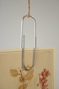 y^rbONbv Vo[ 2zʐ^J[h݂邵Aނ̐ɁICeA/i`G/Jg[G/fBXvC/tHg/|XgJ[h/AJ/V