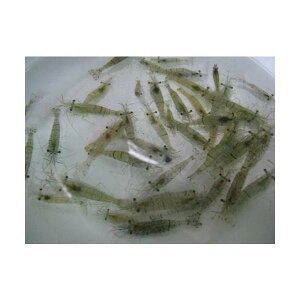 GTp@XWGr@30CZbgyaz⏞L(n)wN[ցxijs