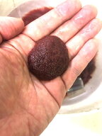 国産イトメ 20g 少量サイズ【生き餌】ヤゴ、イモリのエサ ※クール便、【活きエサ、冷凍エサとの同梱不可…