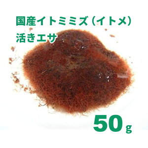 YCg 50g yazN[ւŔAyGTAⓀGTƂ̓szCg~~Y a
