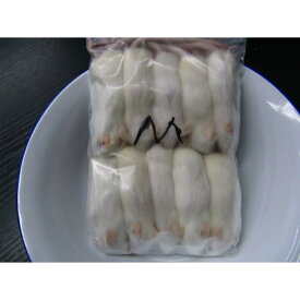 冷凍アダルトマウス（M） 8cm 10匹入【クール便発送】冷凍エサ