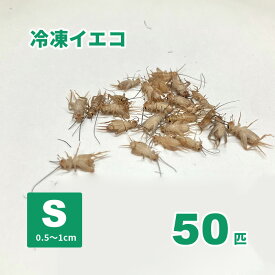 冷凍ヨーロッパイエコオロギ(Sサイズ)50匹【クール便発送】爬虫類、両生類、小動物等の冷凍エサの冷凍エサ