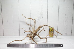 UWS X}gEbh LTCY 003 yVR}؁EANς݁z