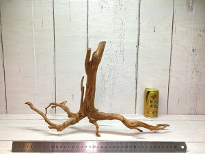 UWS X}gEbh [c LTCY yVR}؁zLR-1