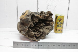 X^vEbh STCY SM-06 yVR؁E؊nz