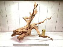 楽天市場】水槽 90cm（流木｜流木・砂利・レイアウト用品）：水槽 