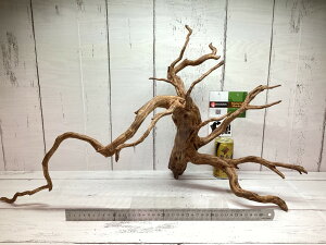 UWS Gt@gEbh XLTCY 06yVR}؁z