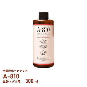 A-810 E_Jp@oNeA@300ml@{vWFNgoCI