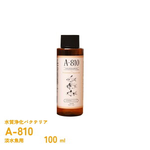�W�����p �����o�N�e���A A-810�@ ���{�v���W�F�N�g�o�C�I