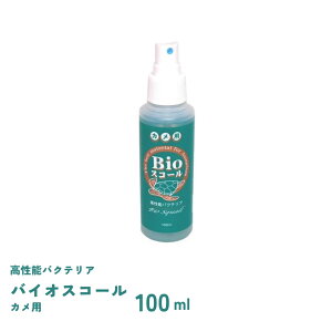 oCIXR[@Jp@100ml@xebNWp@BioXR[@oNeA