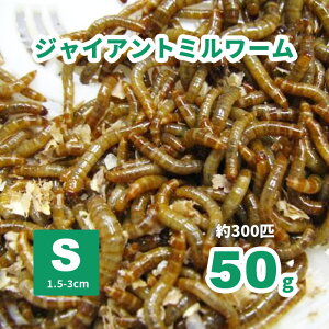 WCAg~[iWCAg[jSTCY50g (300C)yaz ⏞LinjWCAg[@@঒ށ@^@GT@a@~[