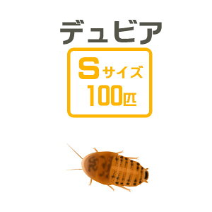 񂹁i3|4cƓj@a@frAS@100Cyszy~Gq֒n攭sz@a@঒ށ@ށ@