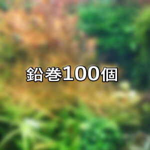 ()@낢~bNX@100@y񂹕ii3-4jz@y/Mы/Ϗ܋/zýzyʔ/̔zyANAE/肤ށzy^z